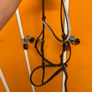 Svart träns med glittrigt pannband - Träns svart 