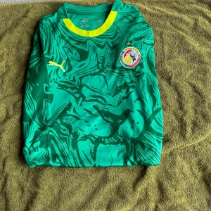 Senegal landslagströja Puma L - Senegals officiella landslagströja från Puma i storlek L. Tröjan är grön med ett unikt abstrakt mönster av ett lejon i mörkare grönt, gula detaljer vid krage och ärmslut samt landslagets emblem på bröstet. Tillverkad i lätt polyester med DryCell-teknologi.