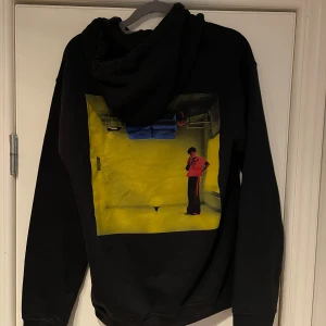 Harry Styles hoodie  - Fint skick 