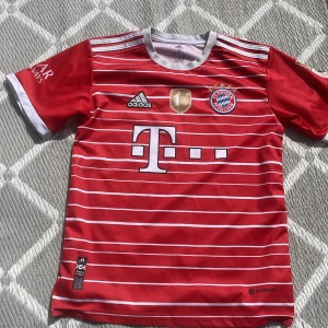 FC Bayern München hemmatröja - Röd kortärmad fotbollströja från Adidas för FC Bayern München med vita horisontella ränder, klubbmärke och sponsorlogga på bröstet. Vit krage och ärmslut, samt guldmärke på bröstet. Perfekt för fans!