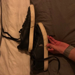 Ralph Lauren Sneakers  - Lite slitna men finns fortfarande lite kvar att ge! 