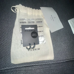 Silverfärgade örhängen från Pilgrim - Snygga och stilrena örhängen från Pilgrim i silverfärg. Klassisk rund form som passar till allt och levereras i originalpåse med märkets logga. Perfekta hoops för dig som gillar minimalistisk och modern stil.