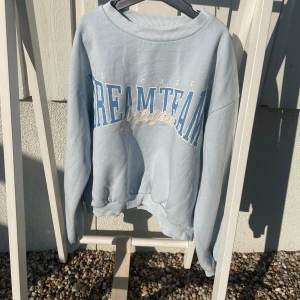 Ljusblå collegetröja med tryck från Lindex - Ljusblå collegetröja från Lindex Kids med stort tryck 'Dream Team' i blått och vitt framtill. Tröjan har rund halsringning och långa ärmar. Perfekt för en avslappnad stil.