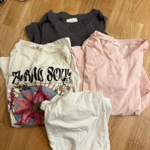 T-shirts - 40 kr st eller 120 för alla! Fint skicka alla, storlek S på alla 