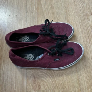 Vans Skor - sparsamt använda, bara lite dammiga.
