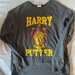 Harry Potter Gryffindor tröja - Mörkgrå långärmad Harry Potter-tröja med Gryffindor-lejonet och text i gult och rött framtill. Storlek L