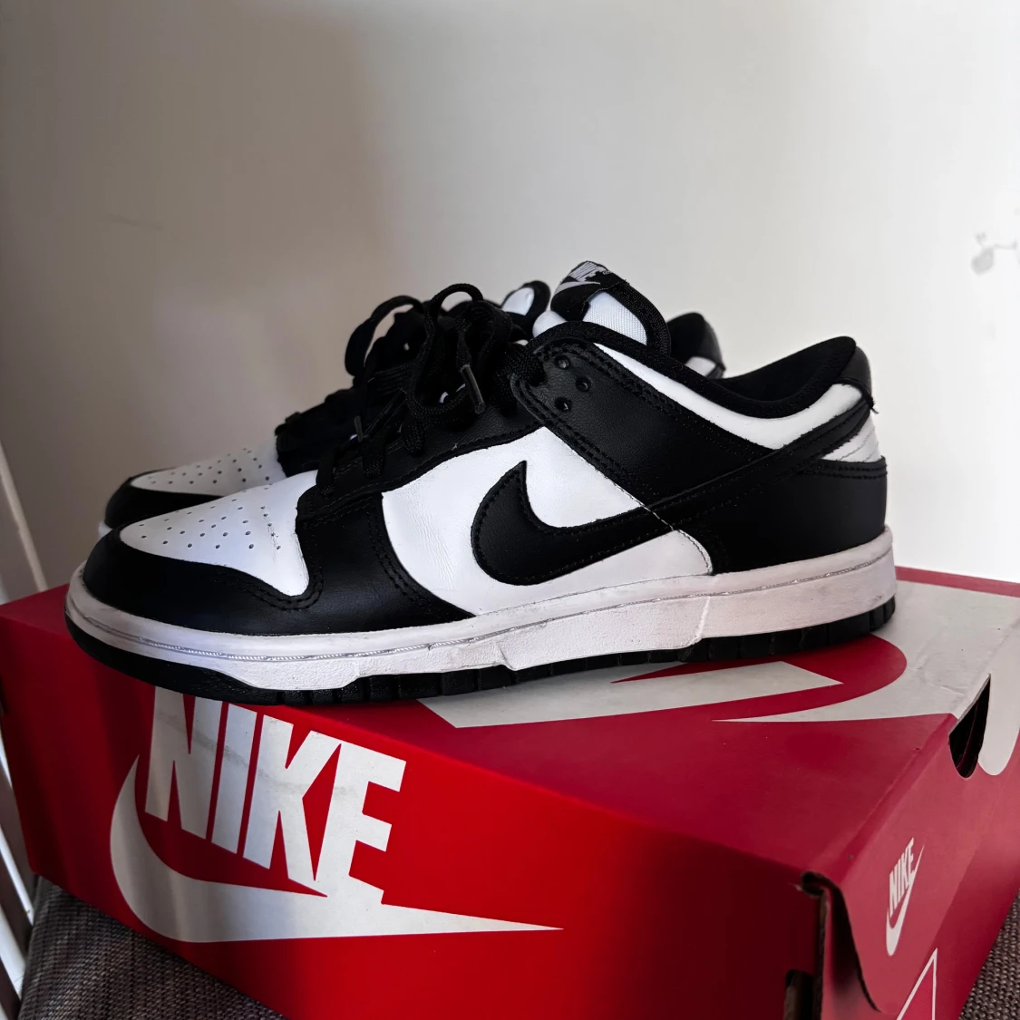 Nike Dunks Low
