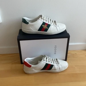 Gucci Ace - Hej! Säljer mina Gucci Ace på grund av att dem är försmå för mig dem är i storlek 43. Dem är i riktigt fint skick box fås med vid köp, går ner lite i pris vid snabb affär. Skriv vid frågor eller funderingar!