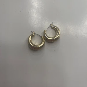 Guldiga örhängen  - Snygga och stilrena guldiga örhängen som passar perfekt till alla tillfällen. 