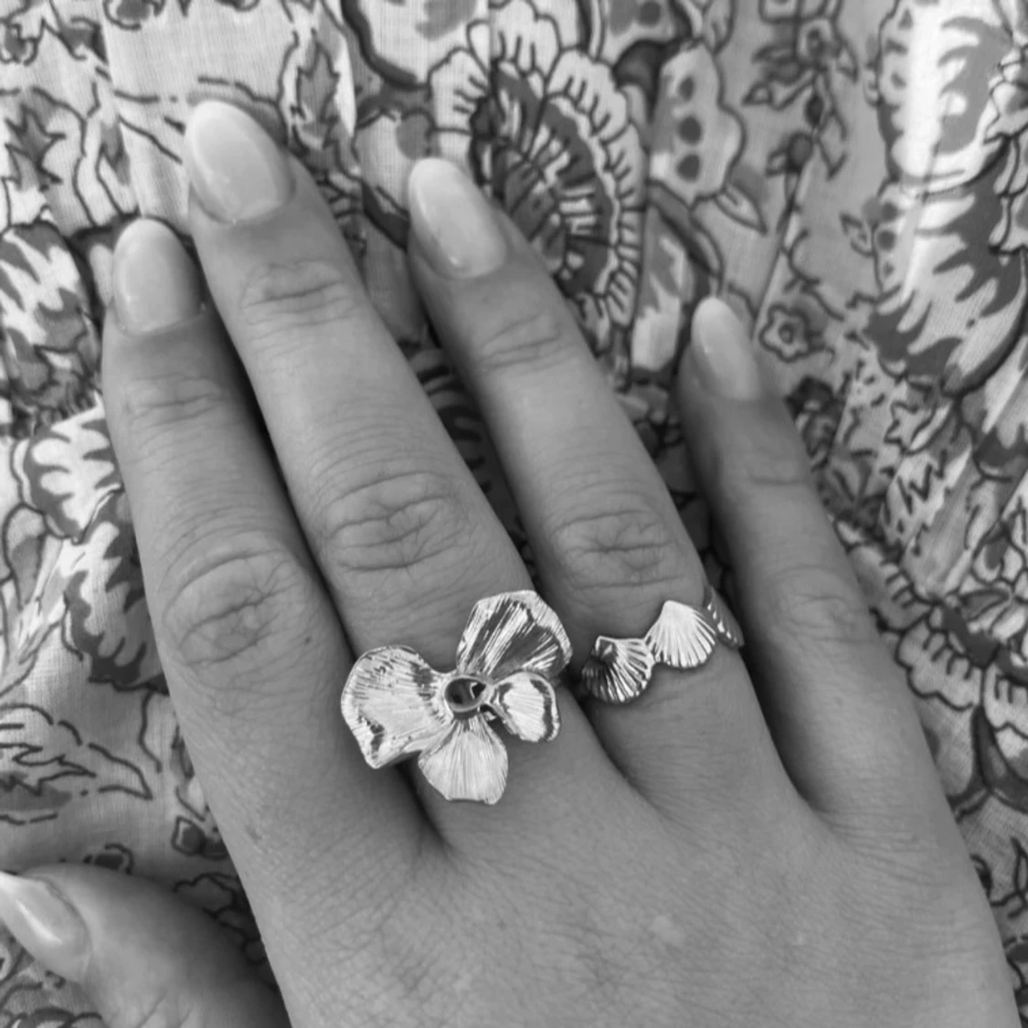 Silvrig ring blomma - 1