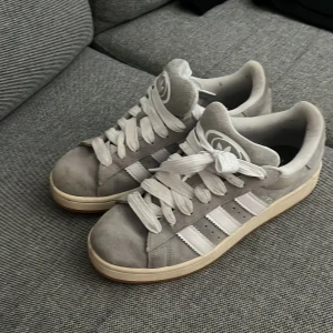 Adidas campus strl 43 1/3 - Adidas campus gråa strl 43 1/3. Otroligt sköna skor och snygga. Skorna är använda ett tag men har inga synliga slitage. Passar både killar och tjejer. 