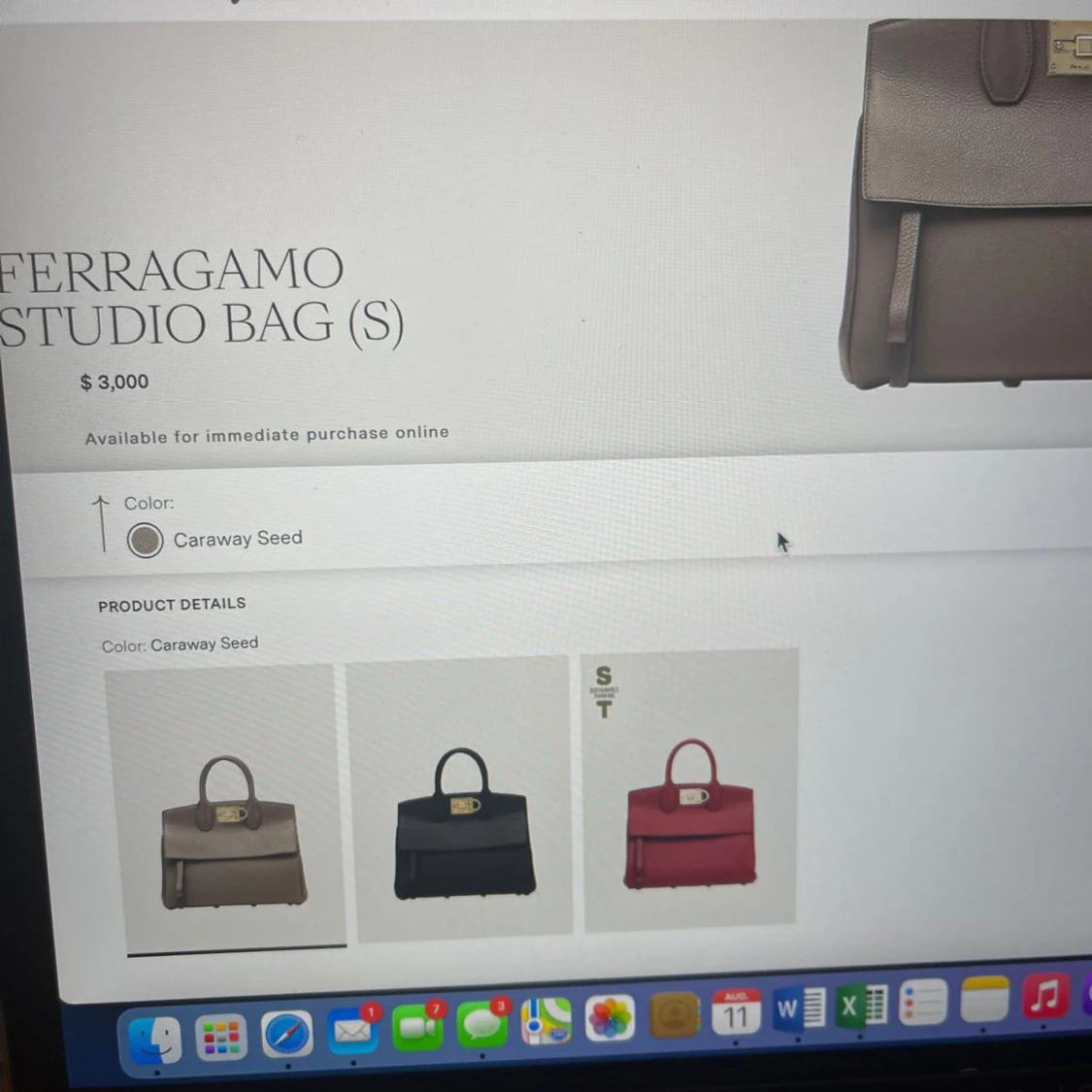 Beige Ferragamo Studio Bag - 3