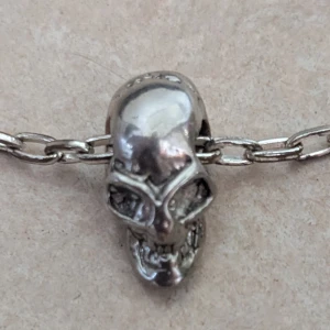 Silverfärgat halsband med dödskalle - Kedjehalsband i silverfärg med en cool dödskalleberlock. Berlocken har detaljerade drag och är tillverkad i metall.. Perfekt accessoar för dig som gillar edgy och unika smycken.
