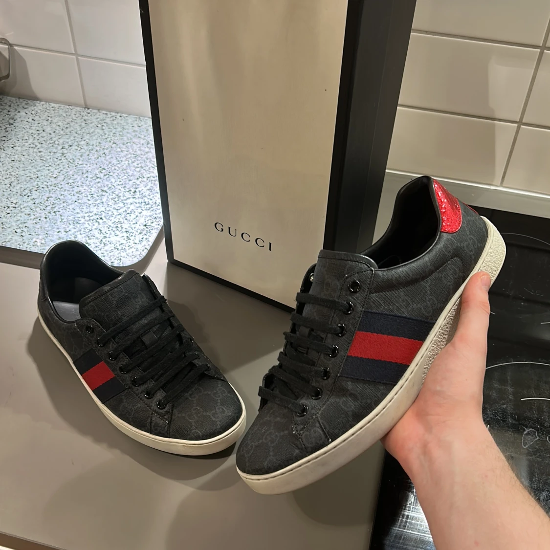 Gucci ace