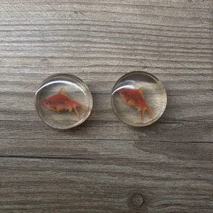 Guldfisk pluggar - Jätte söta guldfisk örhängen! Säljer pga att dom är för små^^