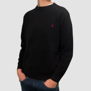 Kashmir Ralph lauren tröja - 100% Kashmir Ralph lauren tröja i storlek L men sitter som M Nyskick