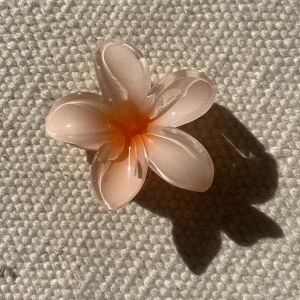 Rosa blomma - Otroligt vacker. Skiftande färg i mitten och shit sådan glans. Slå till!