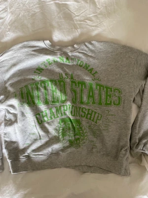 Sweetshirt  - Säljer denna tröja från Bershka. Knappt använd och inga defekter. Skriv privat för fler bilder 🤩