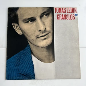 Vinylskiva  - ⚠️undantag för denna skivan⚠️