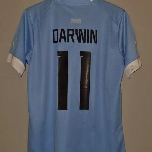 Darwin Nunez tröja - Storlek s