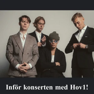 Biljetter hov1 (betongparken Stockholm) - Säljer två biljetter till den utsålda hov1 konserten i betongparken den 18 augusti (fredag)