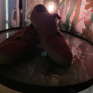 Vans skor PRO - Vans storlek 46, knappt använda.