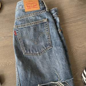 Superfin jeans kjol från Levi’s i storlek 26. Använd men är i nyskick. 300kr + frakt. Pris kan diskuteras vid snabb affär.