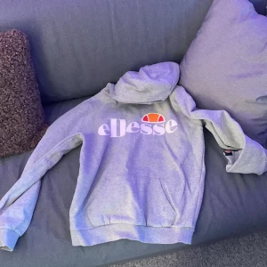 Ellese hoodie grå  - En vanlig grå ellese hoodie den är till 12-13 fast den passar kanske 10-11