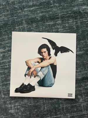 Vinyl - ConanGrey vilnyl !