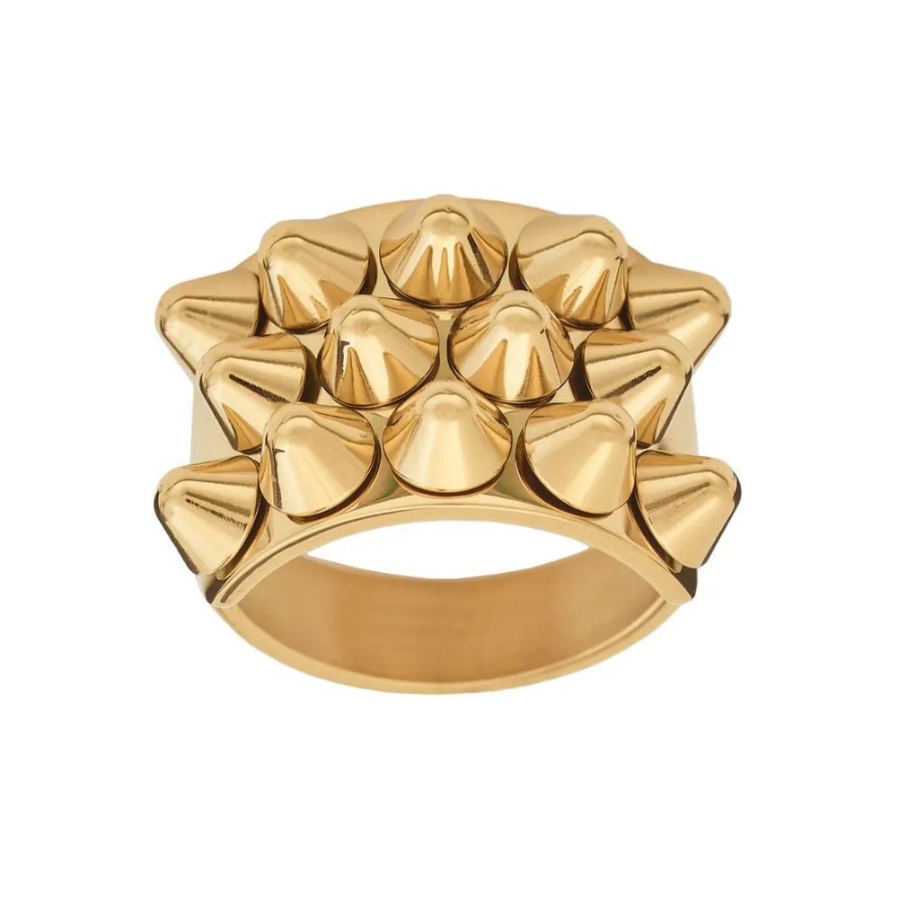 Säljer denna fina guldiga edblad ringen, för vill byta till silver (kan bytas).. Accessoarer.