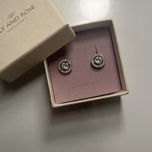 Lily and Rose örhängen  - Snygga örhängen, säljs pga att de inte kommer till användning då jag använder guldsmycken. Endast testade! Nypris: 329:-