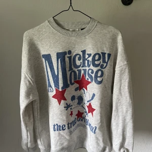 Grå tröja med Musse pigg motiv  - En grå tröja med Musse pigg motiv på. Storlek s. Märke Pull&bear.