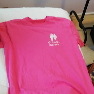 T-shirt  - T-shirt från ett ridlekis. Väl använd. Lite sliten och har fläckar. 