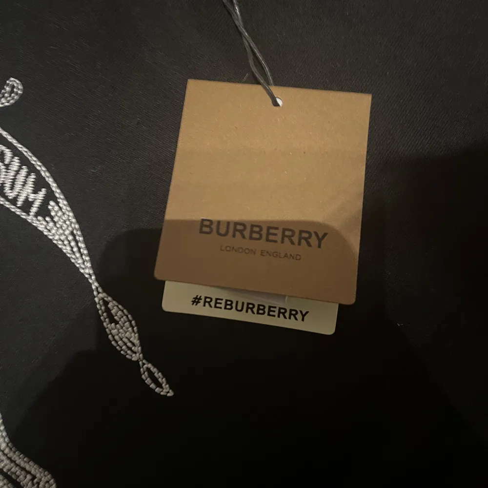 Burberry tröja storlek M, tröjan är aldrig använd. . Hoodies.