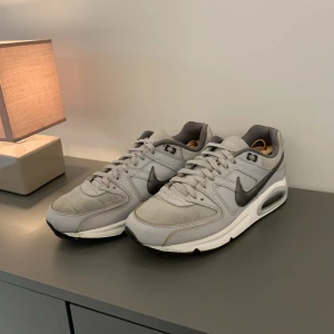 Nike air Max 90 - St 44.  Slitet skick.  Därför låga priset 