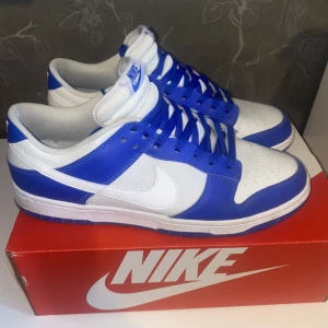 nike dunk photon dust racer blue - Nike dunks i blå vit färg. Storlek 45,5 i mycket bra skick. Pris kan diskuteras och kvitto finns tillgängligt