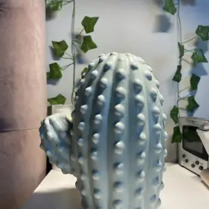 Säljer denna jättefina gröna kaktuskrukan. Säljer på grund av att den inte passar i mitt rum och det är varför jag vill att den ska hitta ett nytt hem🌴