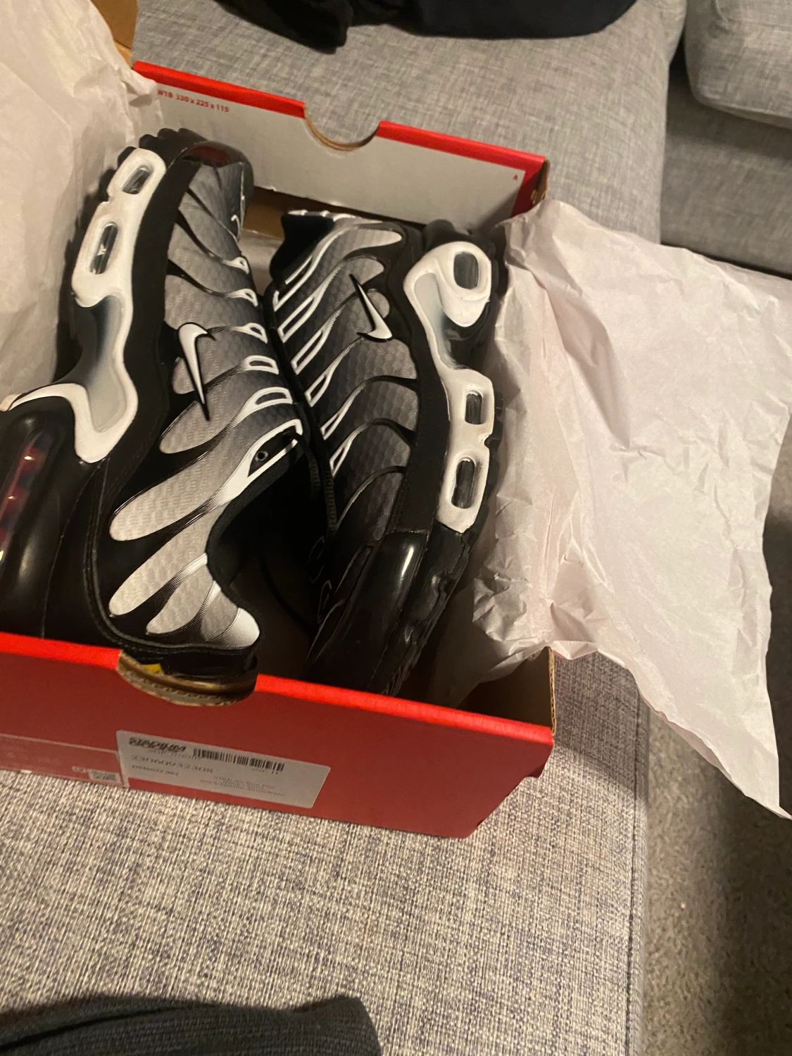 Nike Air Max Plus 