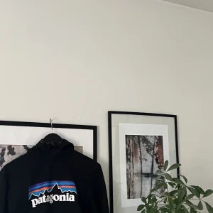 Patagonia hoodie - Snygg patagonia hoodie som är väldigt inne just nu 