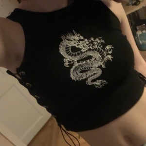 Topp med drake - En ascool topp from c.u.m clubwear med en drake och snörning som går att justera på sidorna. Nypris runt 300-500 minns inte riktigt. Kommer inte till användning.