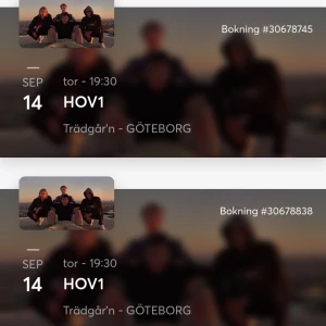 Hov1 Biljetter - Säljer 1 st biljett till den slutsålda Hov1 konserten på trädgårn i Göteborg 14/7 (13+) Första biljetten gick åt snabbt så skynda! 🫶🏽