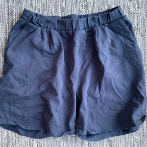 Gråblåa shorts i strl L - Gråblåa shorts i strl L.   Sparsamt använd och i fint begagnat skick.  Mått Midjan: ca 38 cm Längd från grenen och ner: ca 15 cm  Kommer från ett djur och rökfritt hem. 