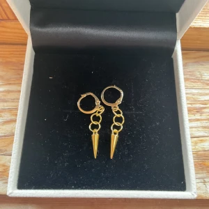 Long spike - Snygga guldörhängen med en kedja och spetsdetalj. Perfekta för att ge en edgy touch till din stil. De hänger fint och är lätta att bära.