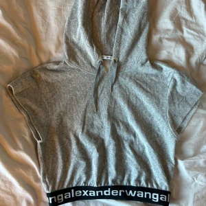 Alexander wang crop hoodie - Nyskick. Storlek M Tar bud