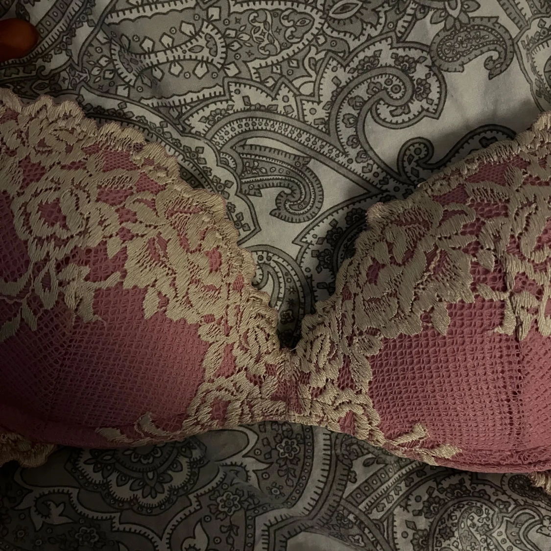 Rosa intimissimi bh - 90