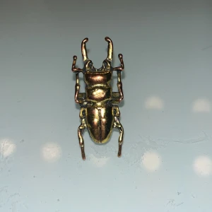 Guldfärgad skalbagge ring - Säljer denna skalbaggering eftersom den inte kommer till användning. Den är justerbar så passar alla. Bra skick utom att den är lite rostig som knappt märks. Pris kan diskuteras.💕