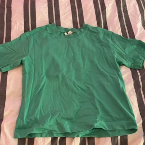 Grön t-shirt från Gina Tricot - Säljer en grön T-shirt från Gina Tricot den är i ganska bra skick fast lite använd. Tröjan är lite kort så den är inte riktigt lika lång som en ”vanlig” T-shirt. Hör av dej vid intresse eller fler frågor. Köparen betalar frakt💕