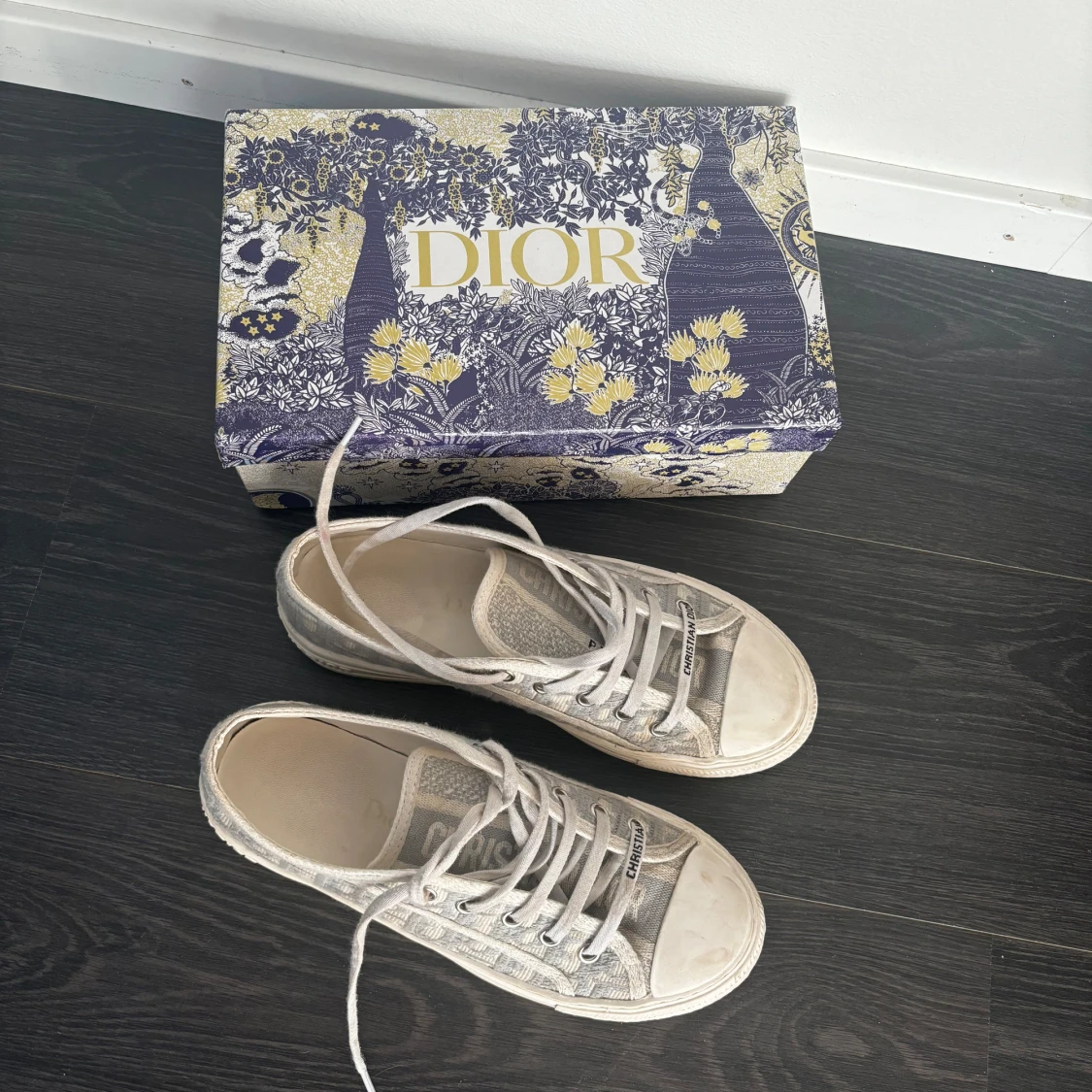 Dior sneakers 