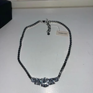 Silverfärgat halsband från Dyrberg/Kern - Snyggt silverfärgat halsband från Dyrberg/Kern med gnistrande stenar i mitten. Perfekt för att ge en touch av glamour till din outfit. Halsbandet har en justerbar kedja för att passa olika längder. Kommer i originalförpackning.