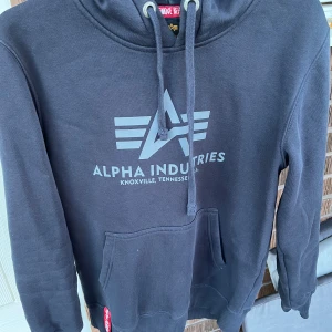 Alpha Hoodie - Nyskick